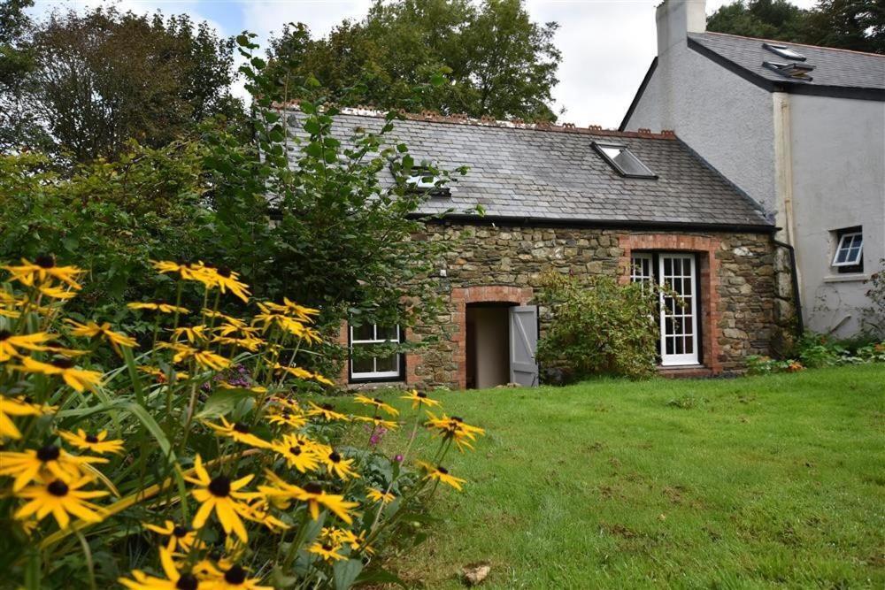 Cwmbrandy Cottage Fishguard Exterior foto
